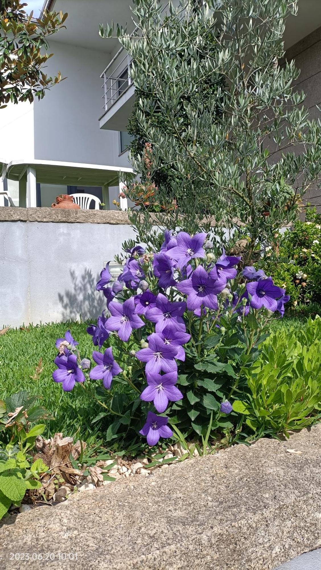 Areias Village 瓦莱迪坎布拉 外观 照片